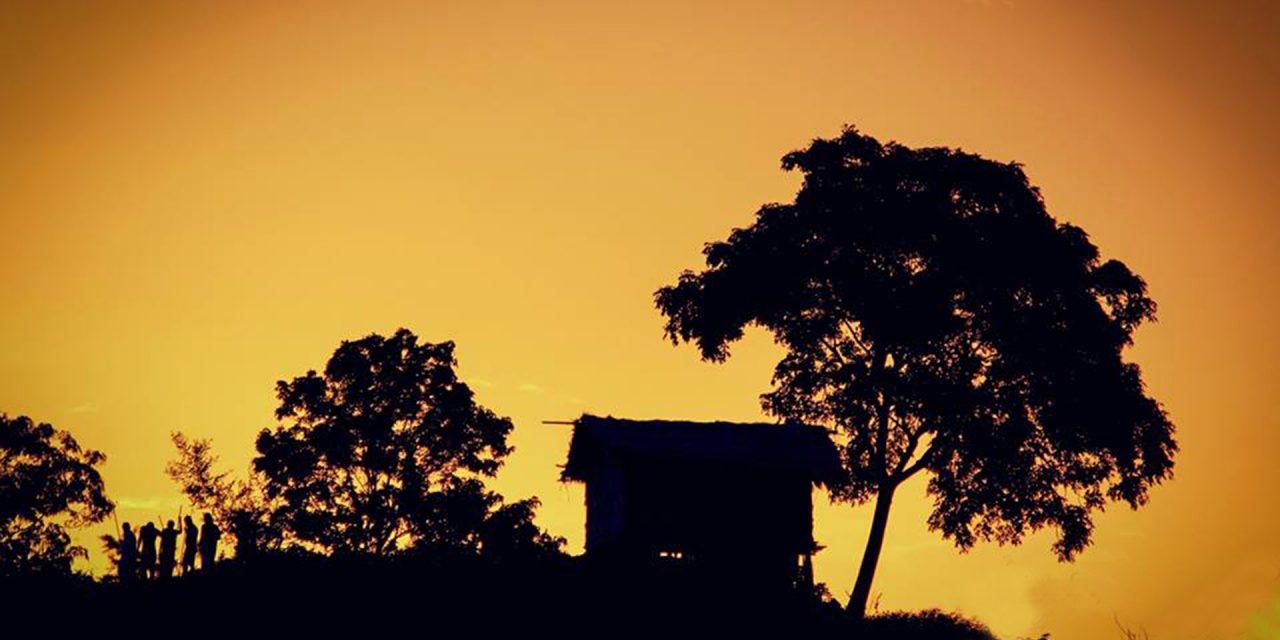 video image