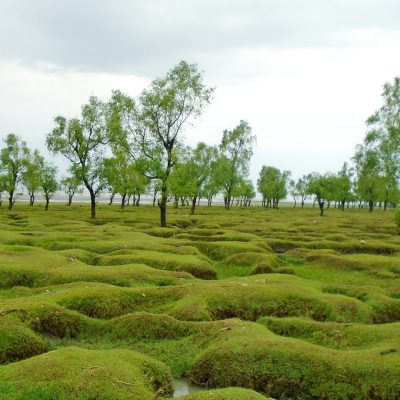 Guliakhali sea beach, Chittagong