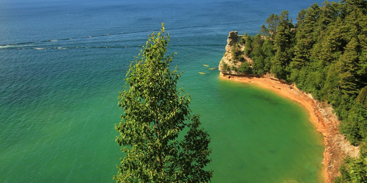Featured Image